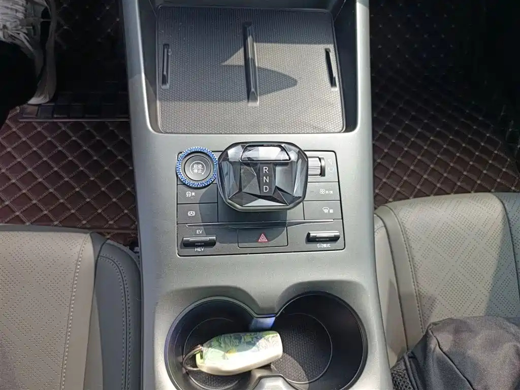 BYD Qin PLUS 2025 DM-i Smart Drive 55KM Leader фото 14