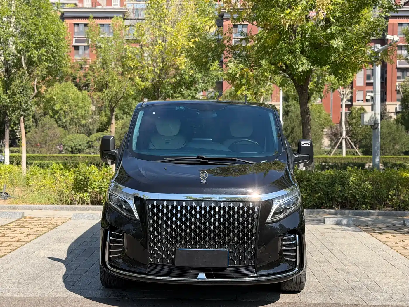 Kedi Auto Kedidia 2023 2023 2.0T Diya M1