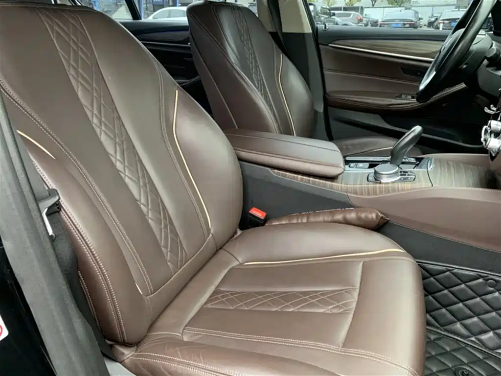 BMW 5 Series New Energy 2019 530Le Luxury Package фото 19