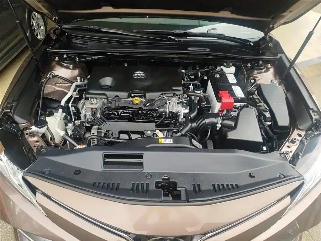 Toyota Camry 2019 2.5G Luxury Edition China VI фото 10