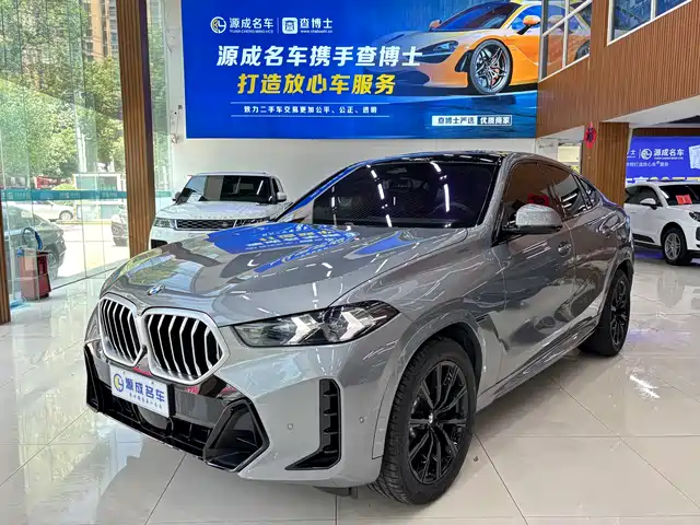 BMW BMW X6 2023 xDrive30i M Sport Package