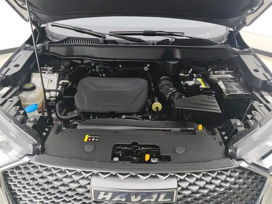 Haval H6 2022 3rd Gen 1.5T Auto 2WD Max фото 10