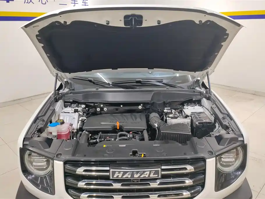 Haval Big Dog 2021 1.5T DCT 2WD Border Collie - Wangcai Edition фото 10