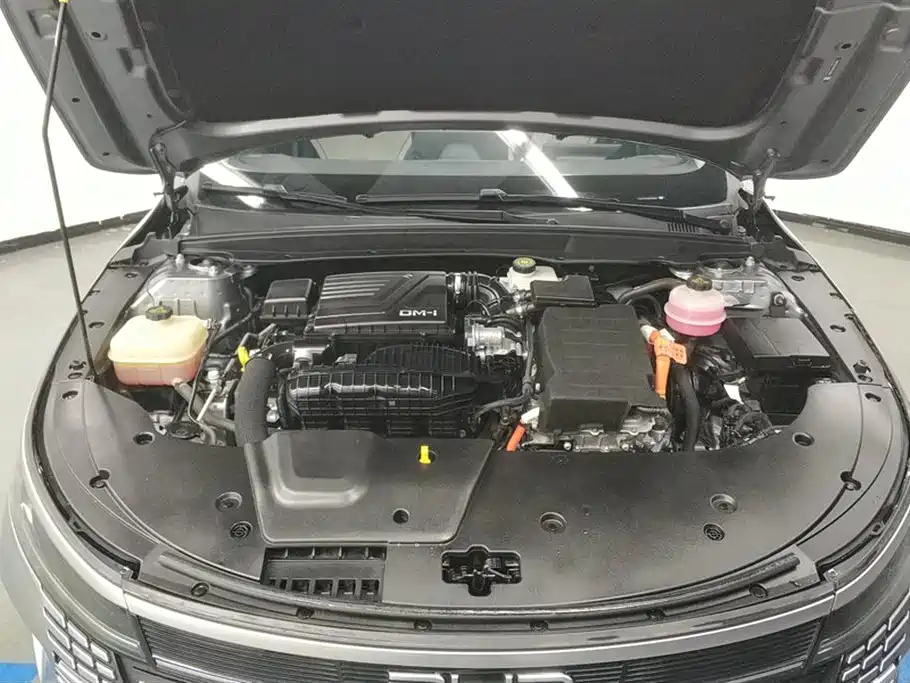 BYD Destroyer 05 2024 Glory Edition DM-i 55KM Luxury фото 10