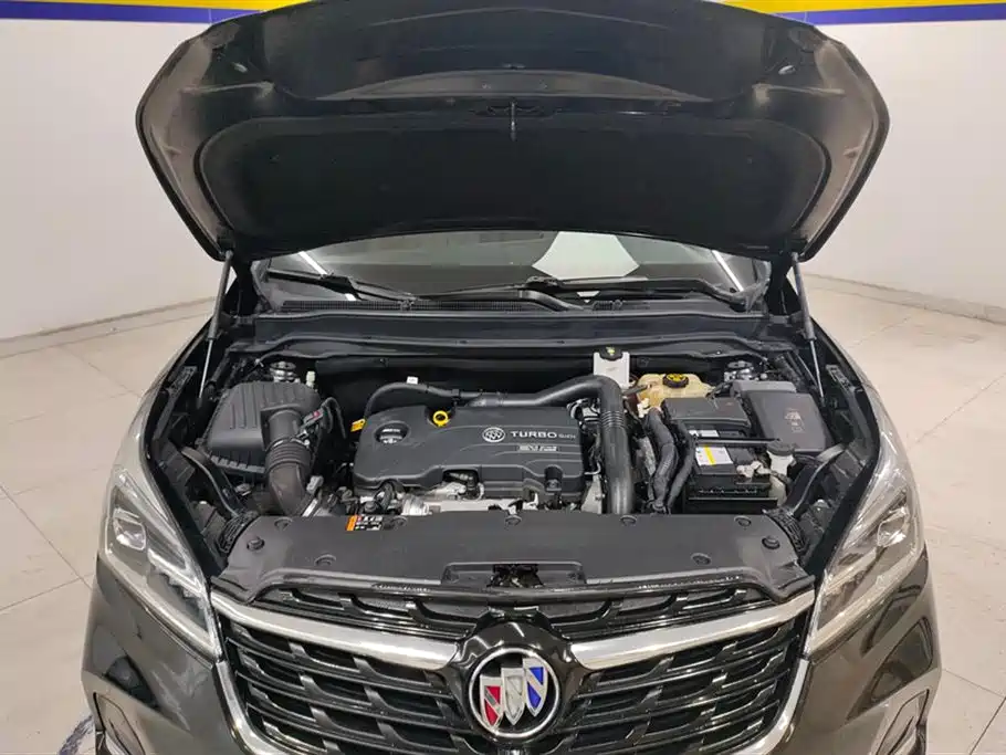 Buick Envision Plus 2020 20T FWD Luxury фото 10