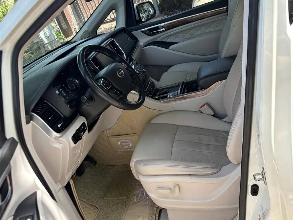 GAC Trumpchi Trumpchi M8 2018 320T Premium Edition фото 4