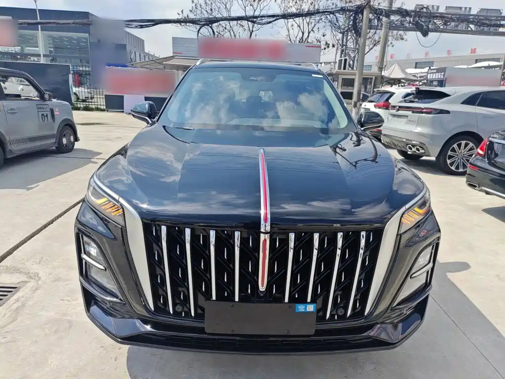 Фото 3 - Hongqi HS5