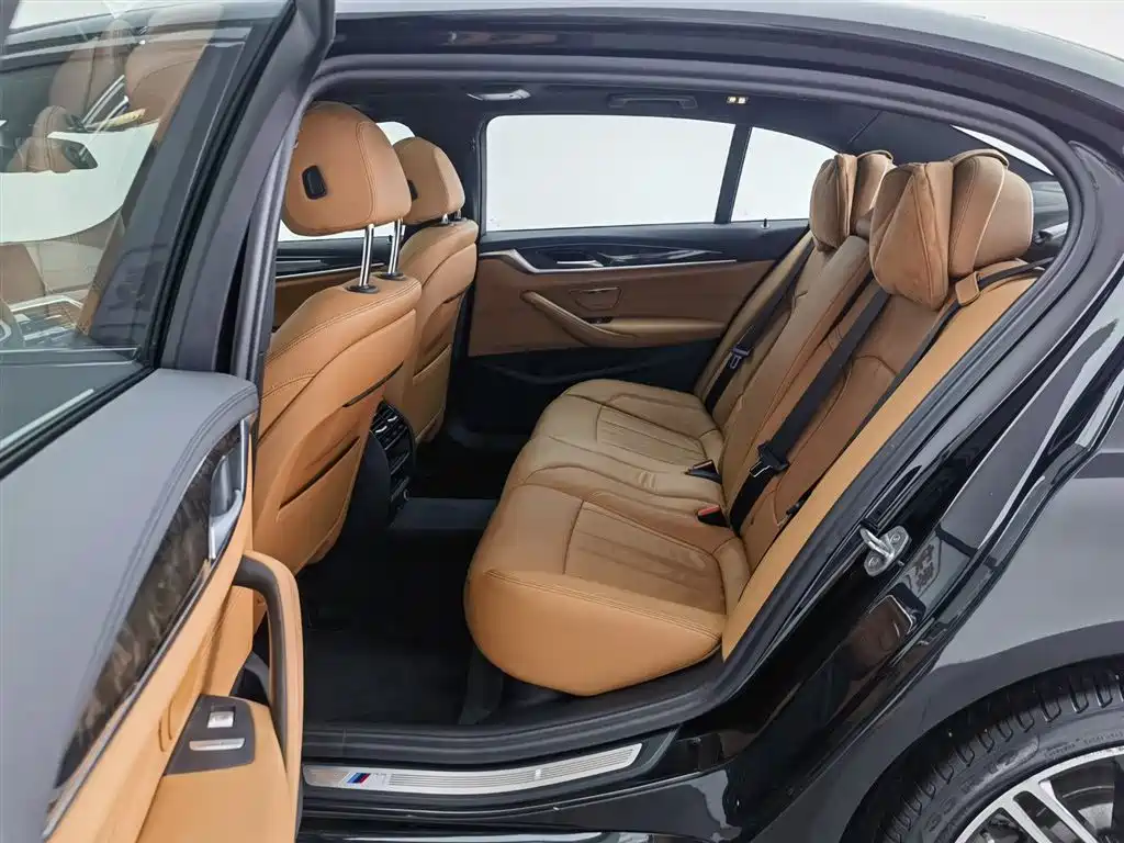 BMW 5 Series 2019 530Li Leading M Sport Package фото 15