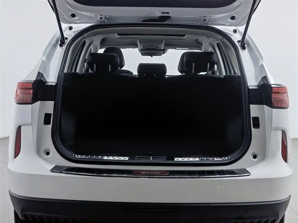 Haval H6 2021 3rd Generation 2.0T Auto 2WD Max фото 16