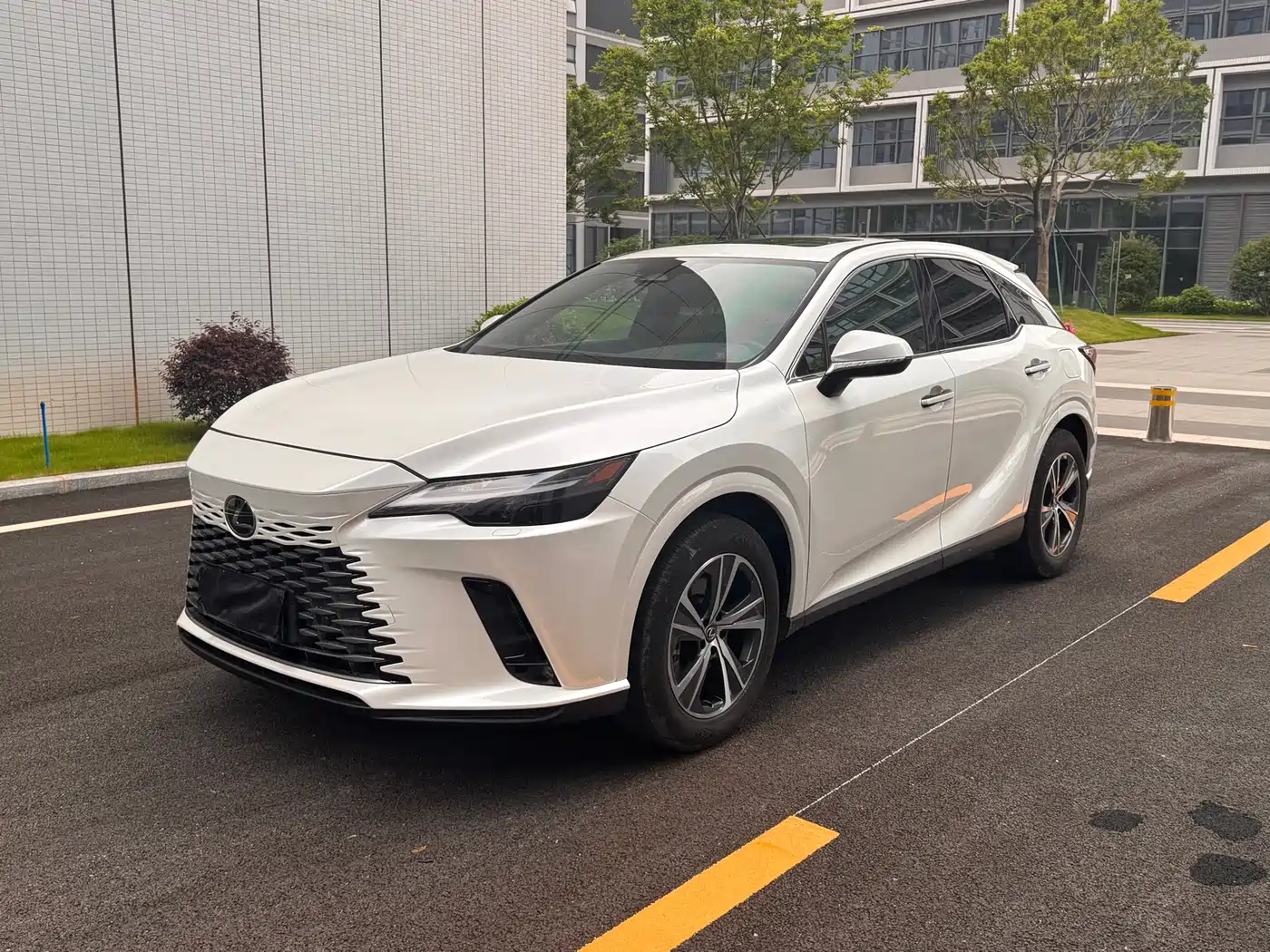 Lexus RX 2025 300 4WD Premium Edition
