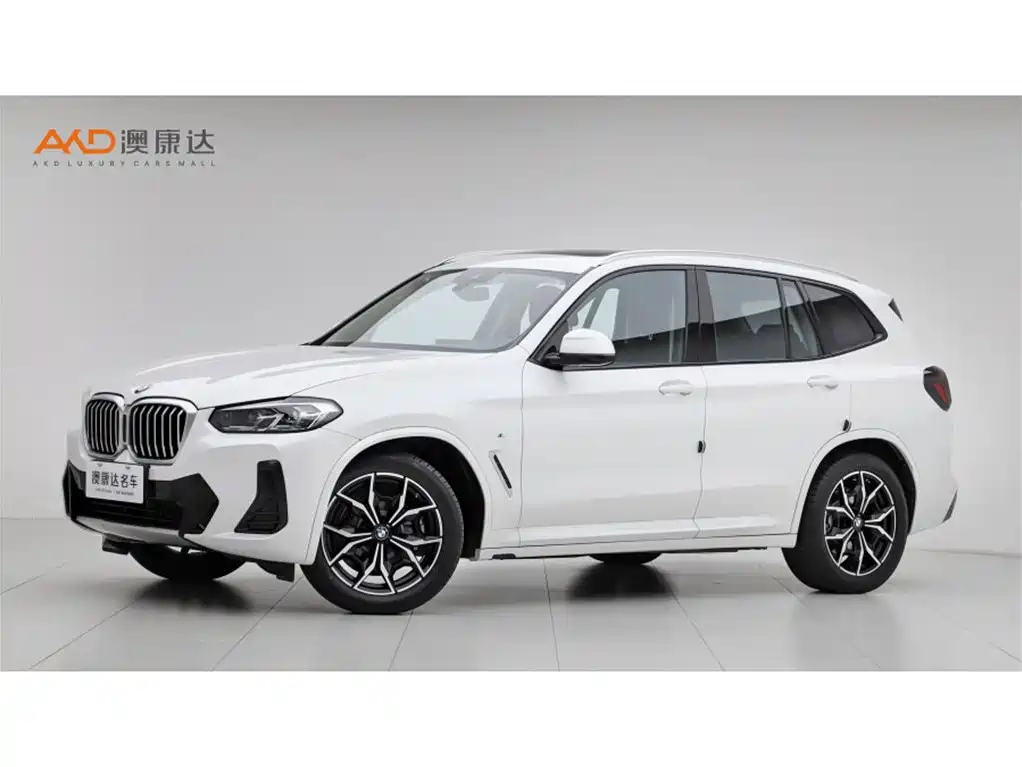 BMW X3 2022 xDrive25i M Sport Package