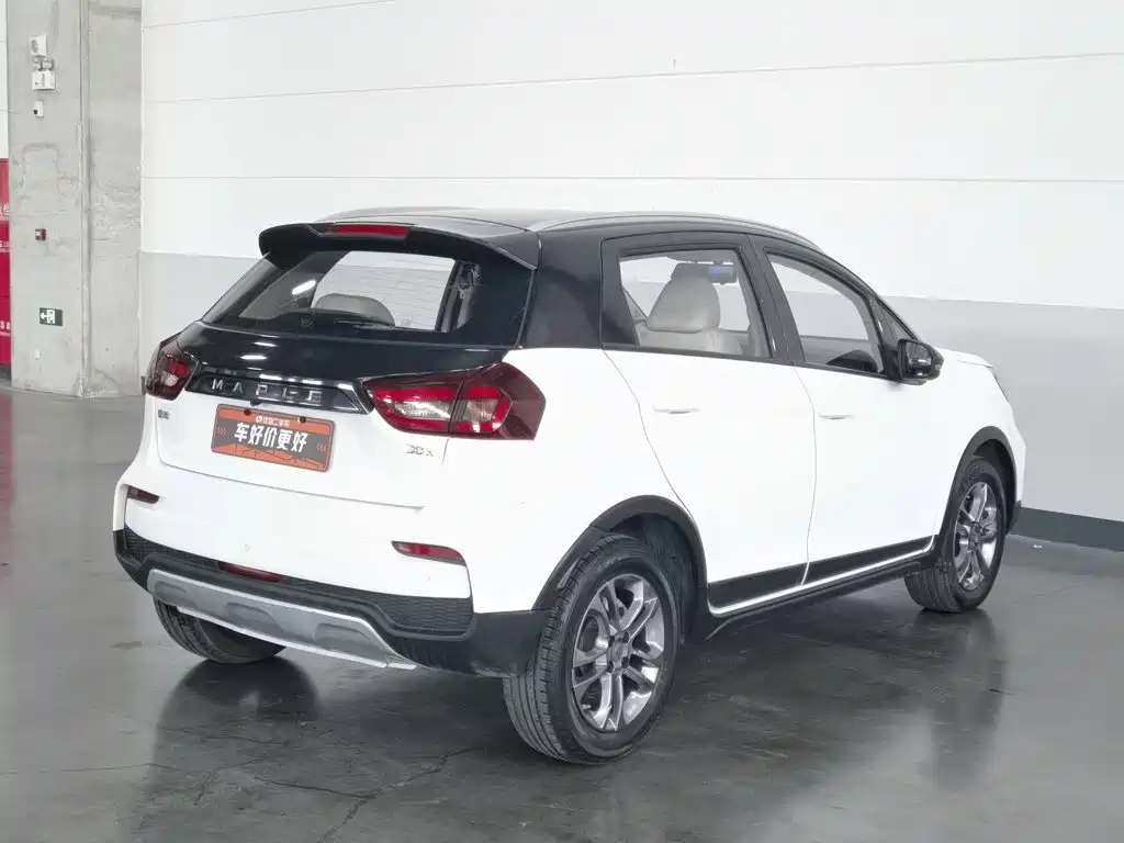 Ruilan Auto Maple 30X 2020 2020 Elegance Edition