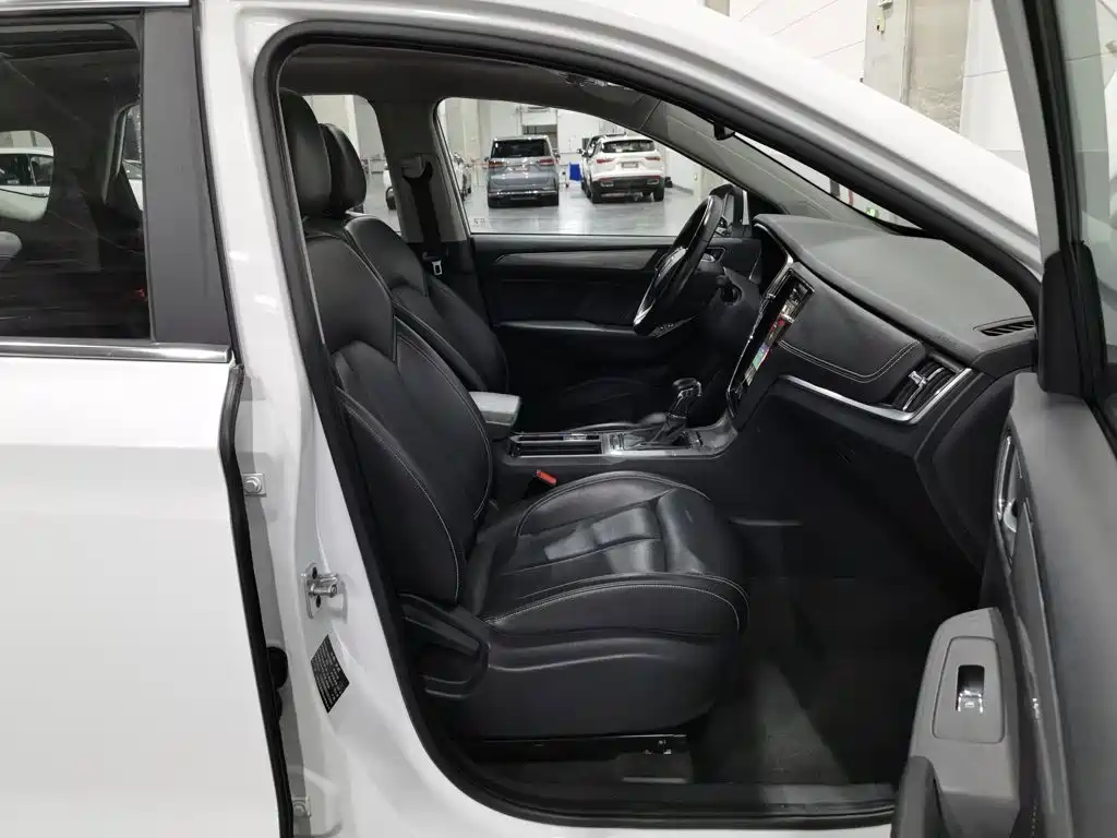 Фото 23 - Roewe RX5