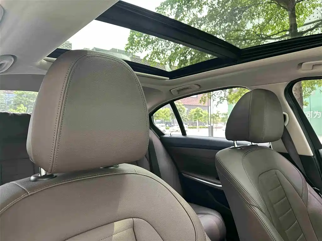BMW 3 Series 2021 325Li M Sport Night Edition фото 22