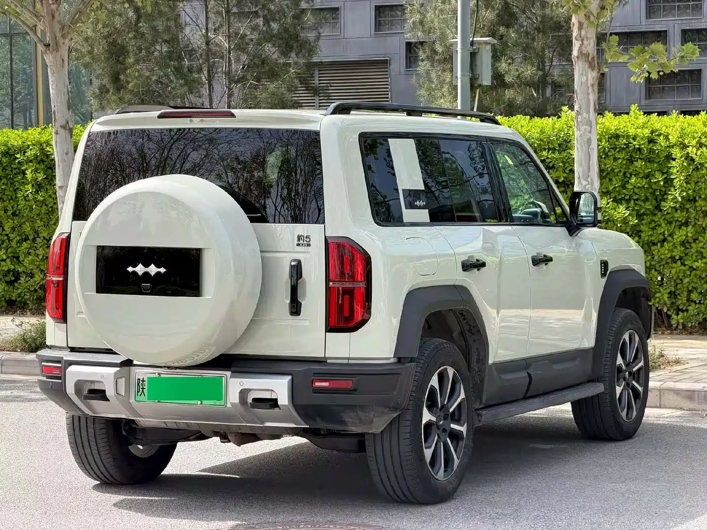 FANG CHENG BAO LEOPARD 5