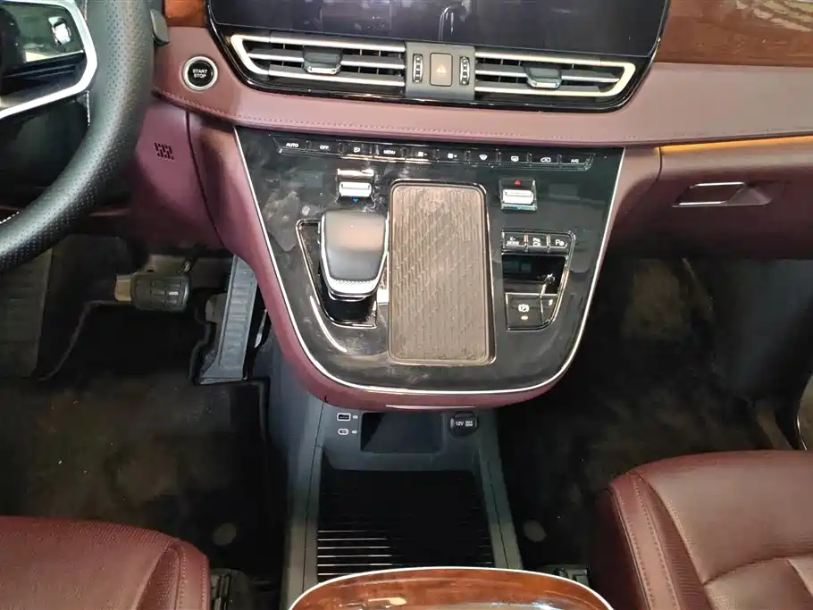Hongqi HQ9 PHEV 2024 Model 2.0T AWD Luxury Edition фото 16