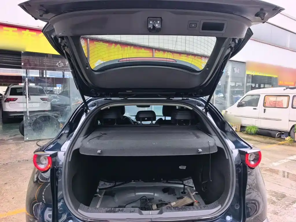 Mazda CX-30 2021 2021 2.0L Auto Elegant Joy Type