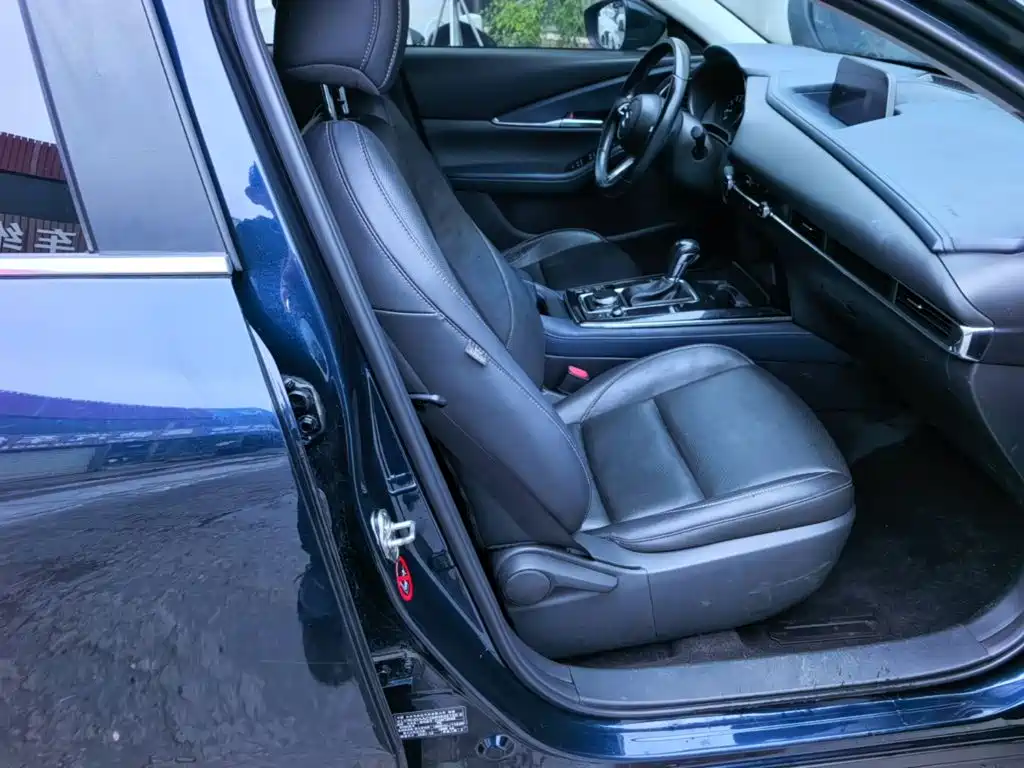 Mazda CX-30 2021 2021 2.0L Auto Elegant Joy Type
