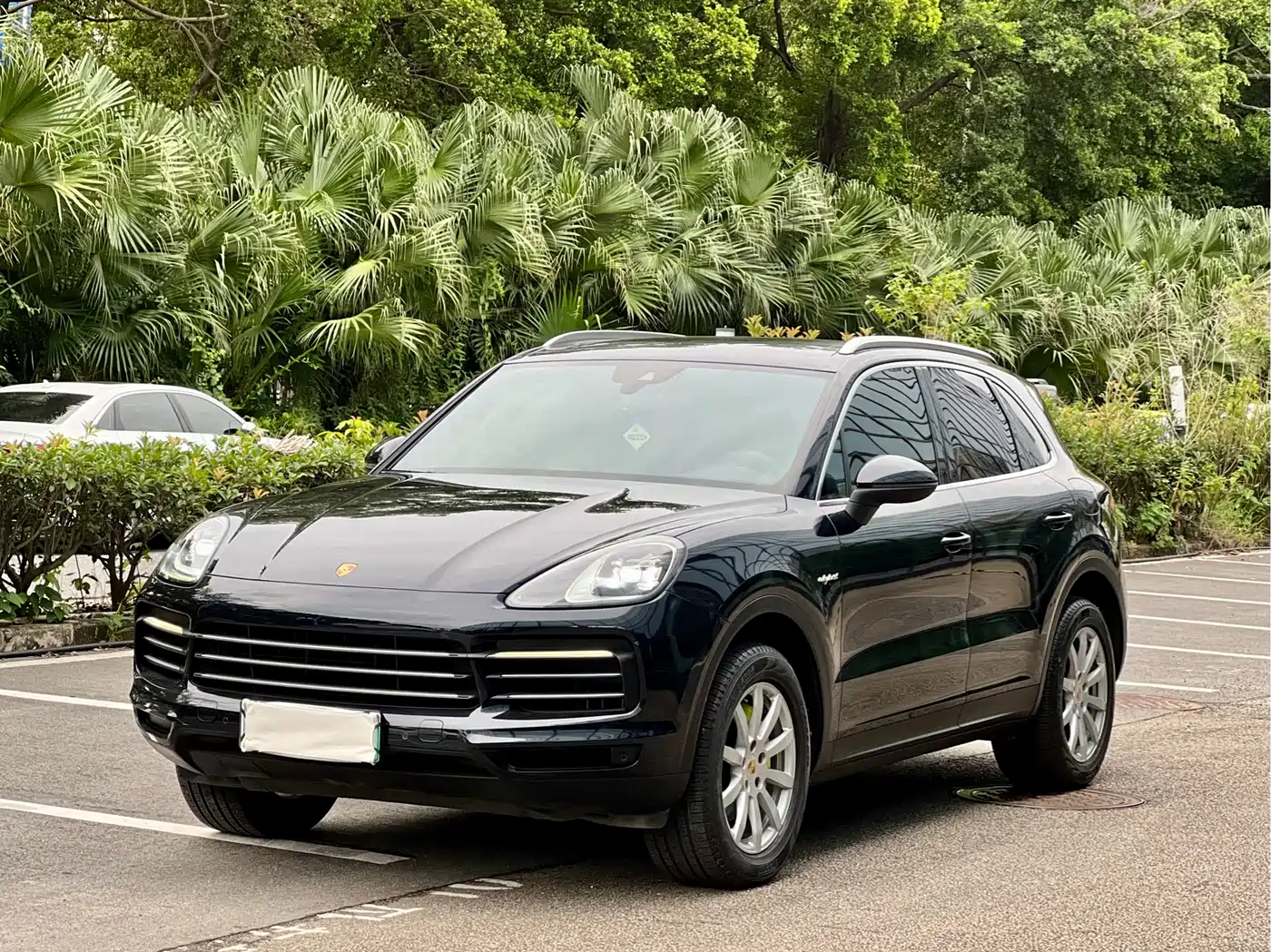 Porsche Cayenne New Energy 2019 2019 Cayenne E-Hybrid 2.0T