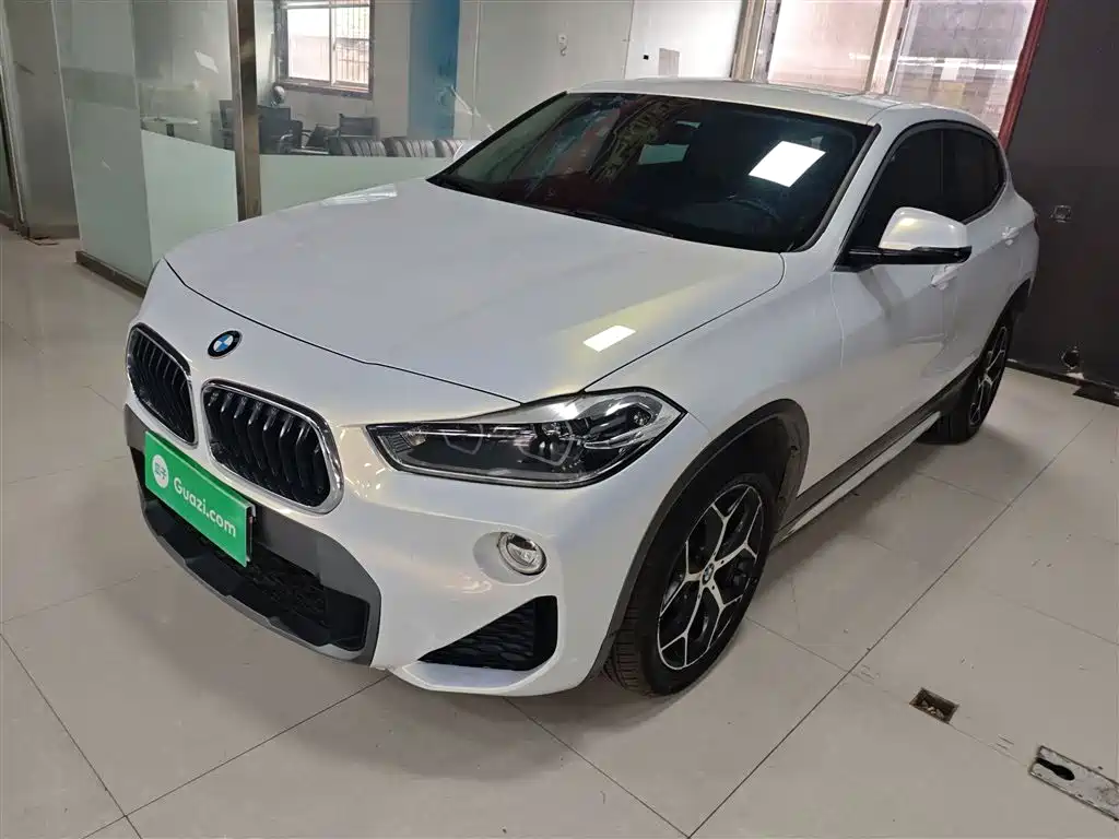 BMW X2 (Import) 2019 sDrive20i M Off-Road Package China VI фото 2