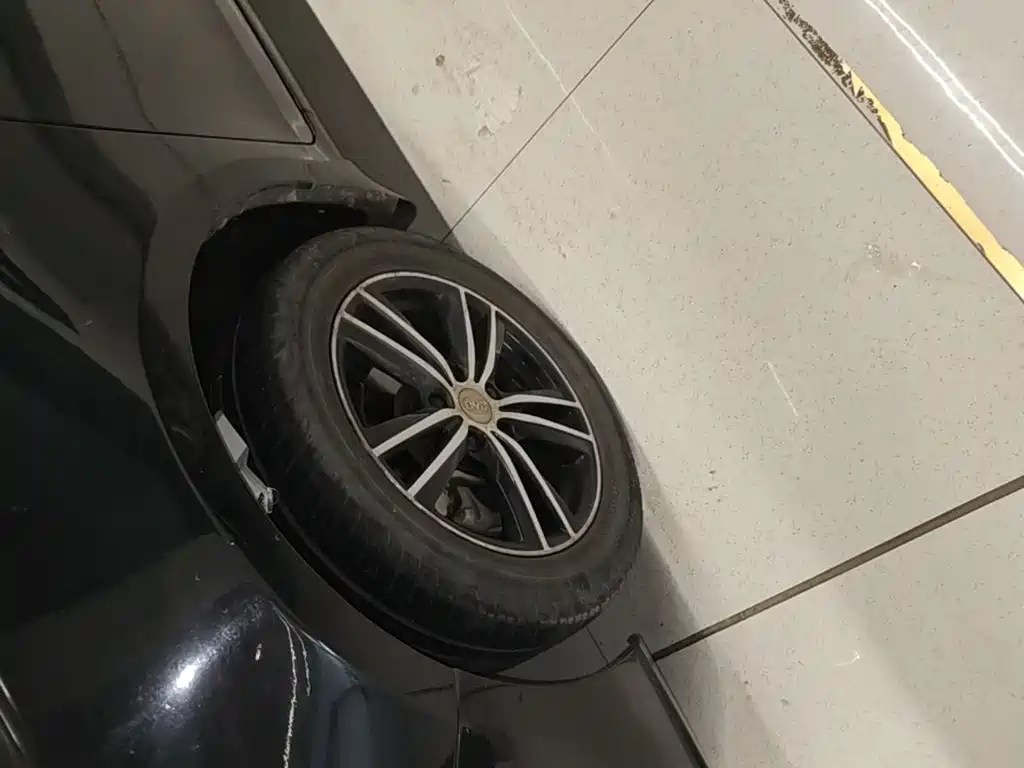 BYD Surui 2015 2015 1.5L Manual Luxury