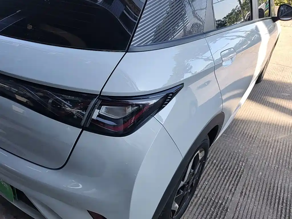 BYD Dolphin 2021 2021 Model 405km Fashion Edition