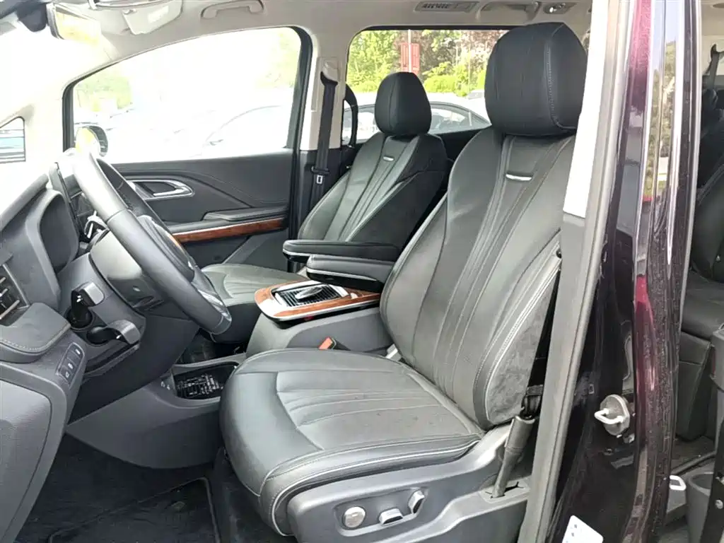 Hongqi HQ9 PHEV 2024 Model 2.0T AWD Luxury Edition фото 15