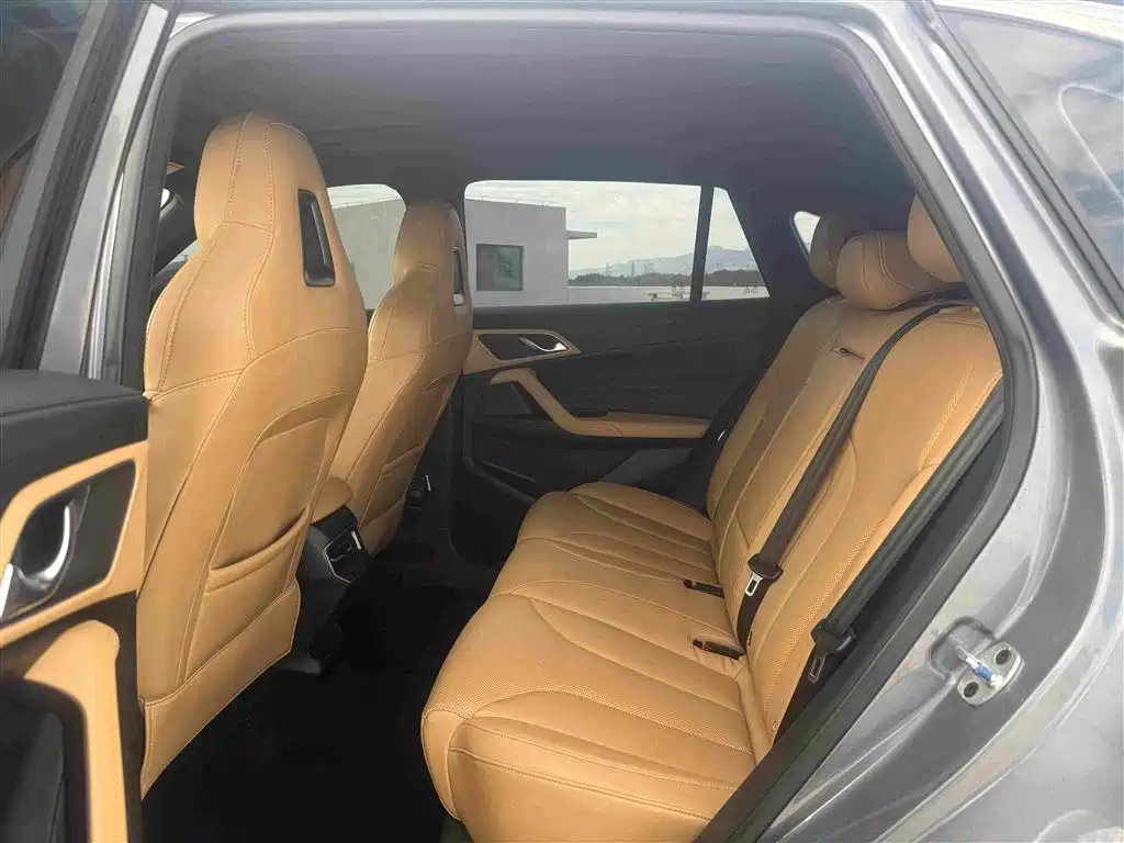 Фото 6 - Roewe RX5