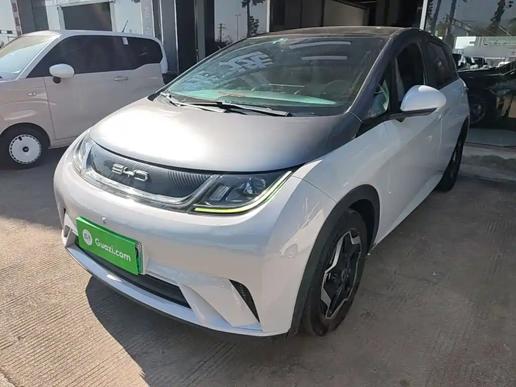 BYD Dolphin 2021 2021 Model 405km Fashion Edition
