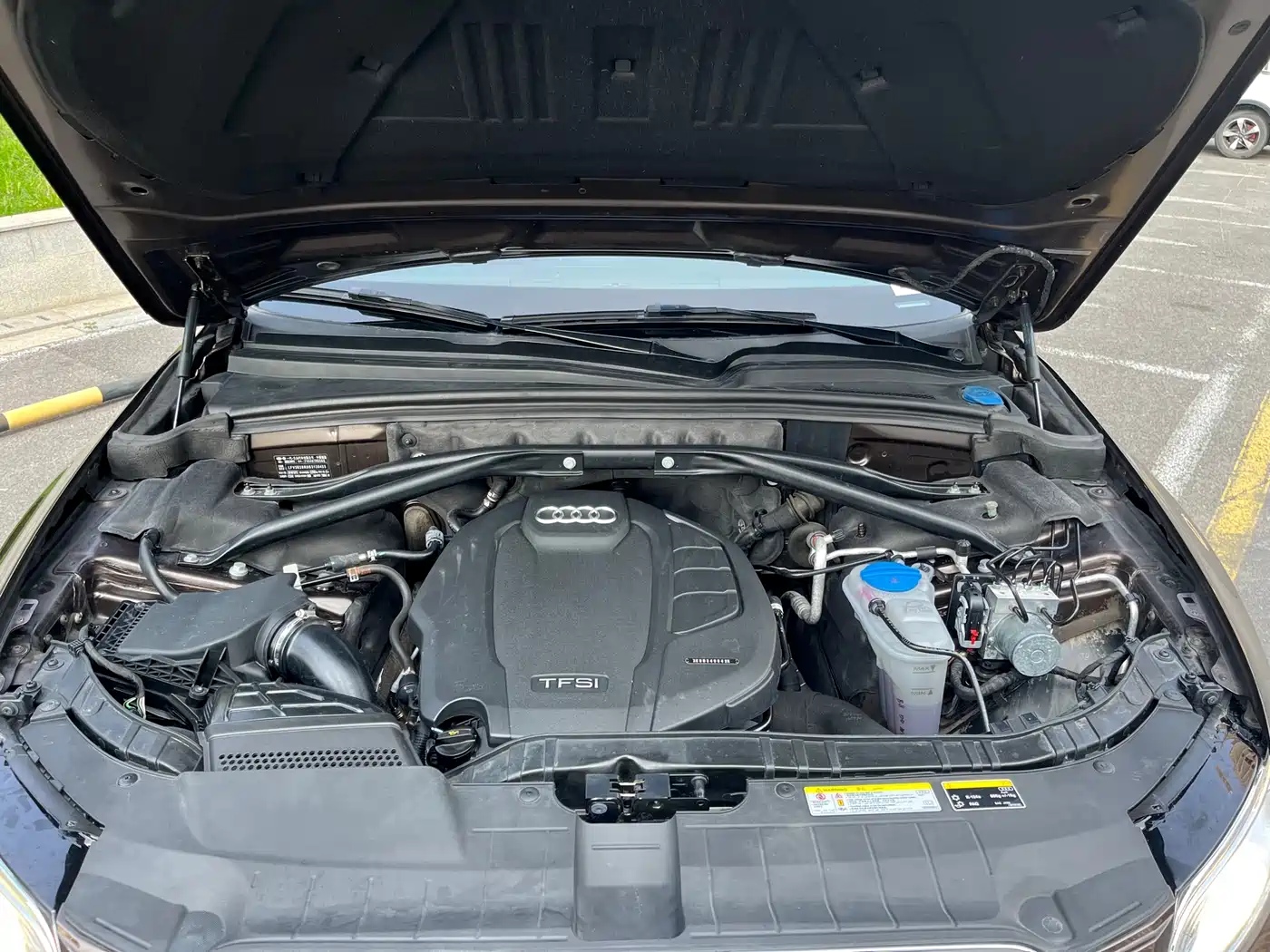 Audi Q5 2017 40 TFSI Technology фото 24