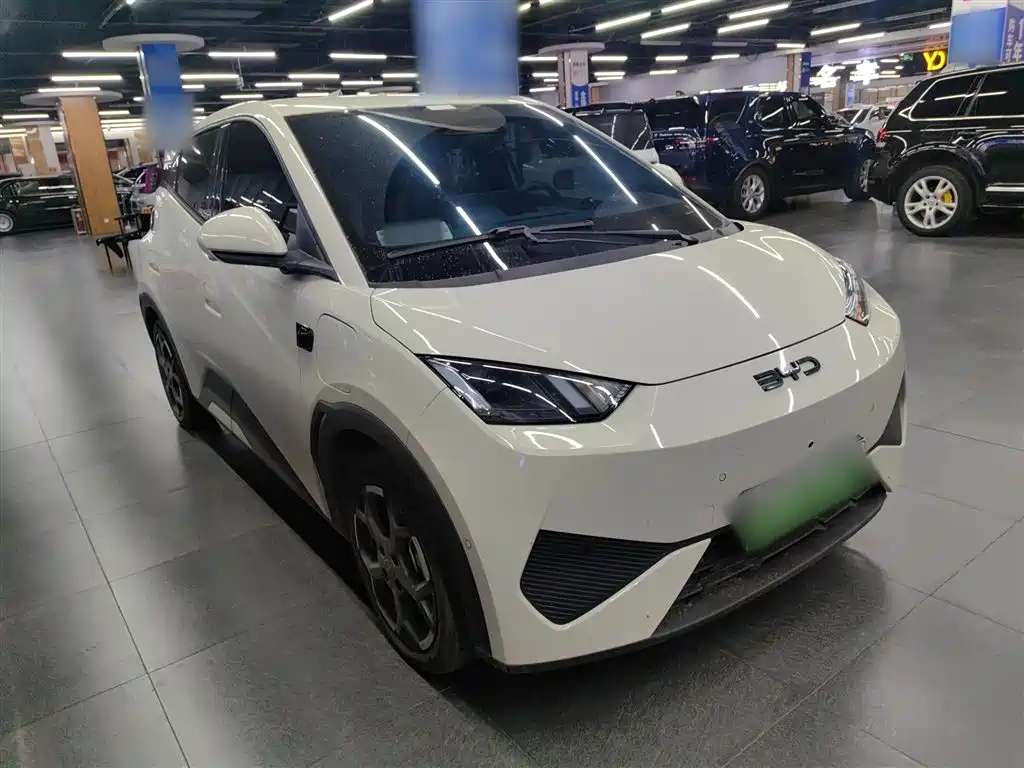 BYD Seagull 2025 Smart Drive Edition 305km Freedom Version фото 4