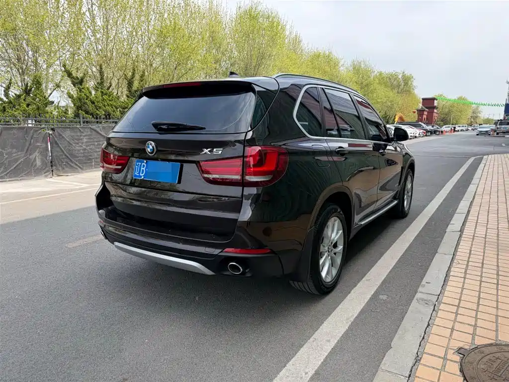 BMW X5 (Import) 2014 xDrive35i Elegance фото 13