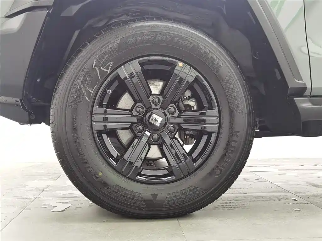 Tank 300 2023 Off-Road Edition 2.0T Conqueror фото 17