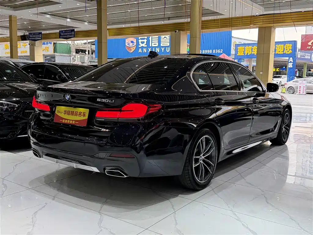 BMW 5 Series 2021 525Li M Sport Package фото 6