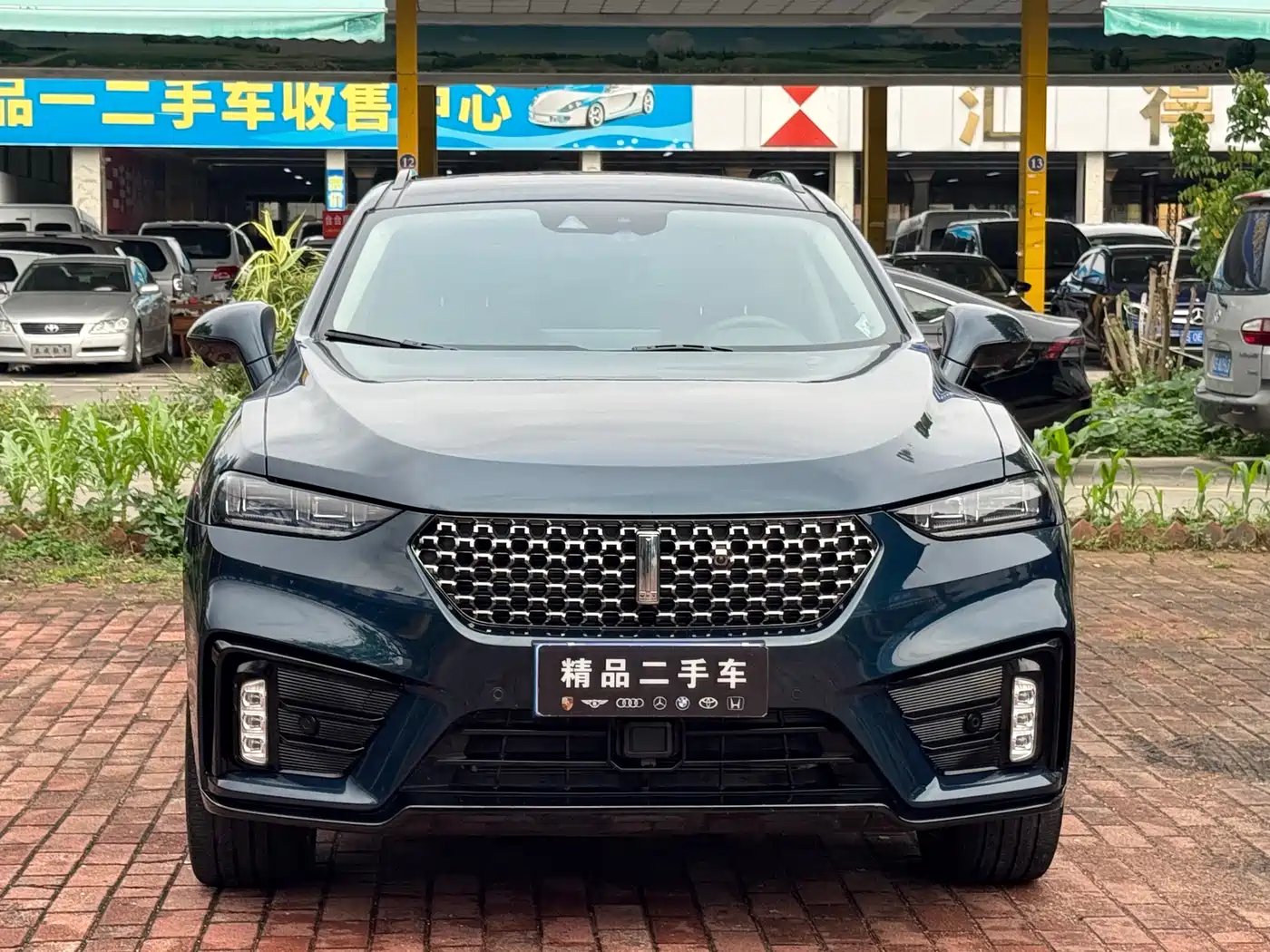 WEI PAI WEI BRAND VV7