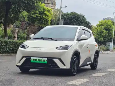 BYD Seagull
