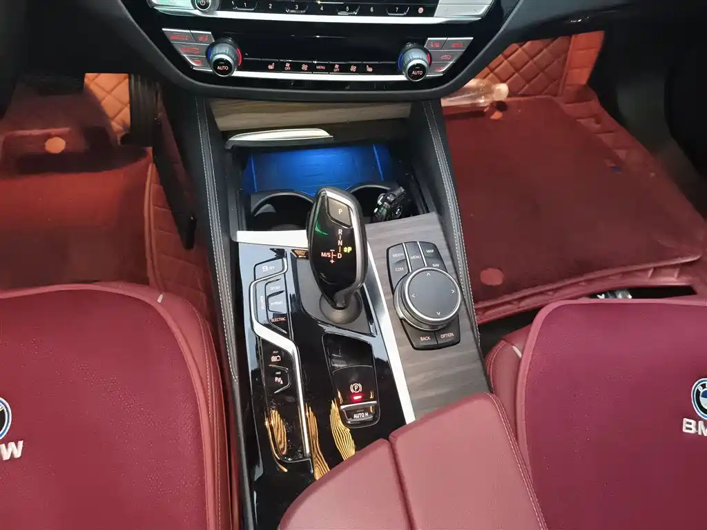 BMW 5 Series New Energy 2021 535Le Luxury Package фото 10