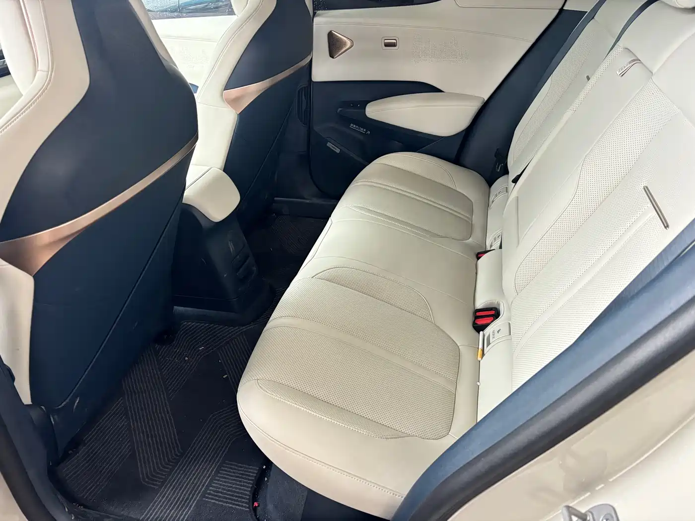 ZEEKR EXTREME KRYPTON X