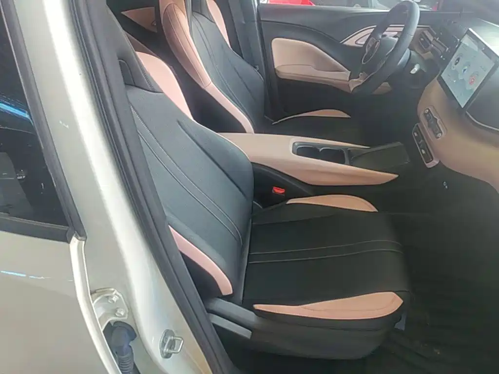 BYD Seagull 2026 2025 Smart Drive Edition 305km Vitality Version