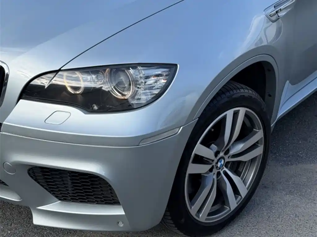 BMW X6 M 2010 X6 M фото 9
