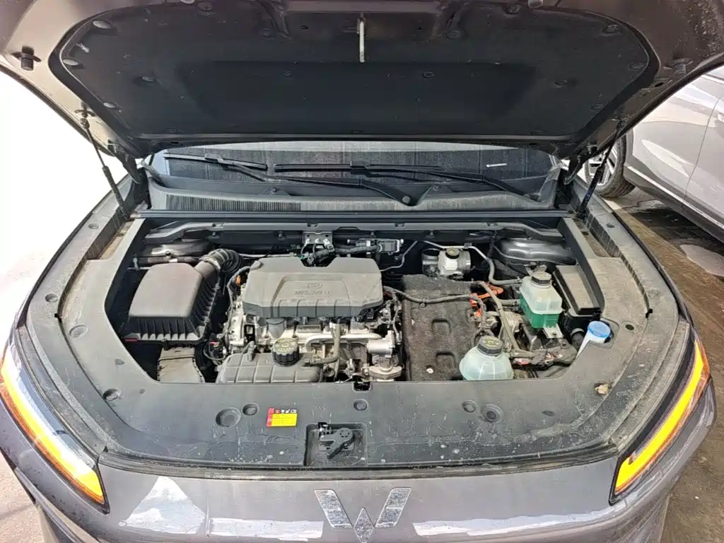 Wuling Motors Wuling Xingguang S 2026 2024 130km Flagship Model