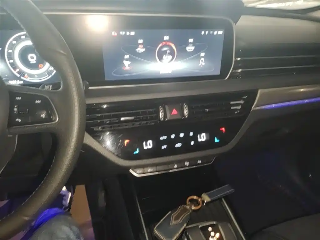 Hongqi HS5 2022 2.0T Smart Connect Flagship AWD Edition фото 10