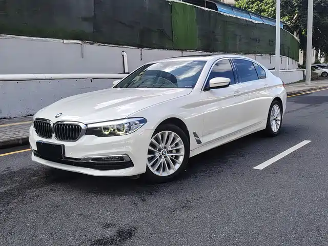 BMW 5 Series 2019 530Li Leading Luxury Package — фото 1