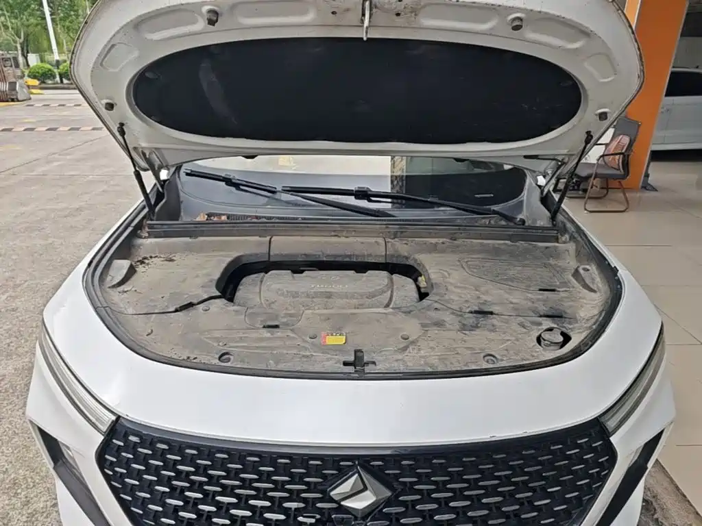Photo 20 - Baojun RS-5