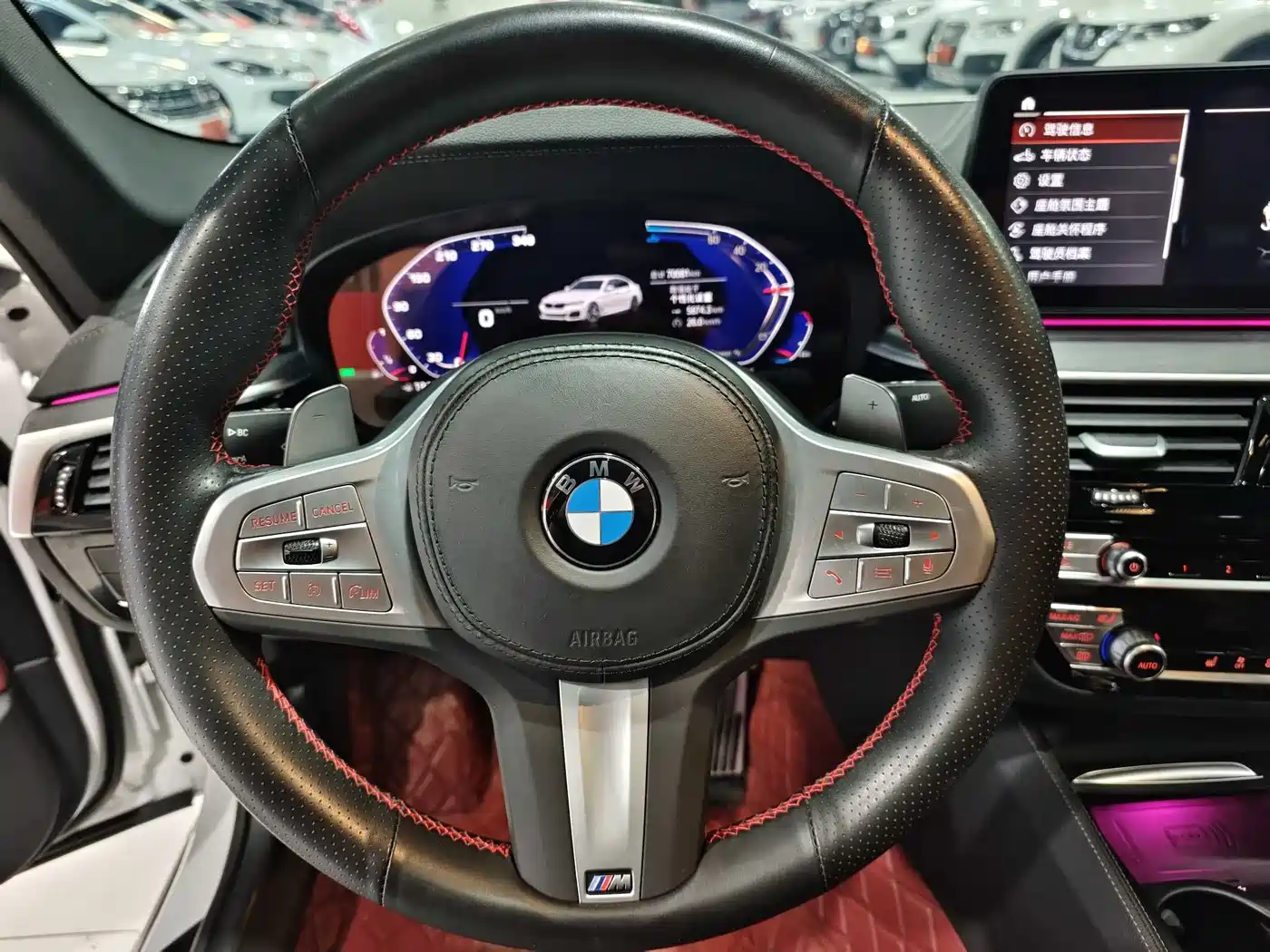 BMW 5 Series 2023 530Li Leading M Sport Package фото 13