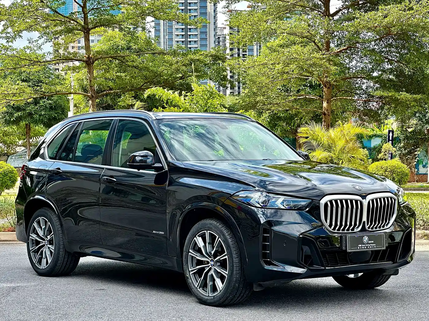 BMW X5 (Import) 2014 xDrive35i Elegance фото 3