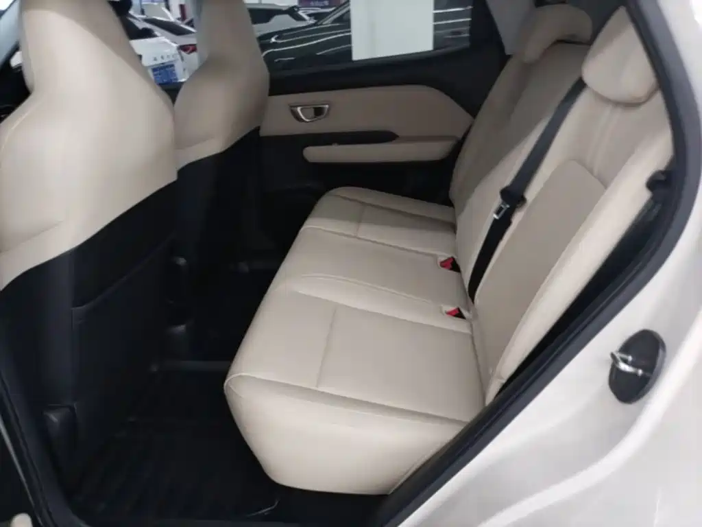 Wuling Motors Wuling Binguo PLUS 2024 2024 Model 330km 5-Seater