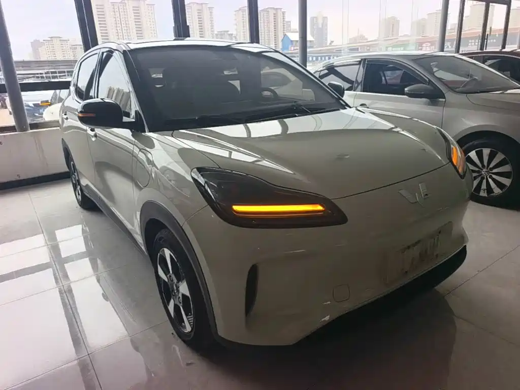Wuling Motors Wuling Binguo PLUS 2025 2024 Model 330km 5-Seater