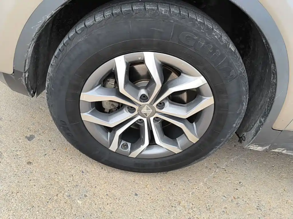Borgward BX5 2019 2020 20TGDI Automatic 2WD Pioneer Edition