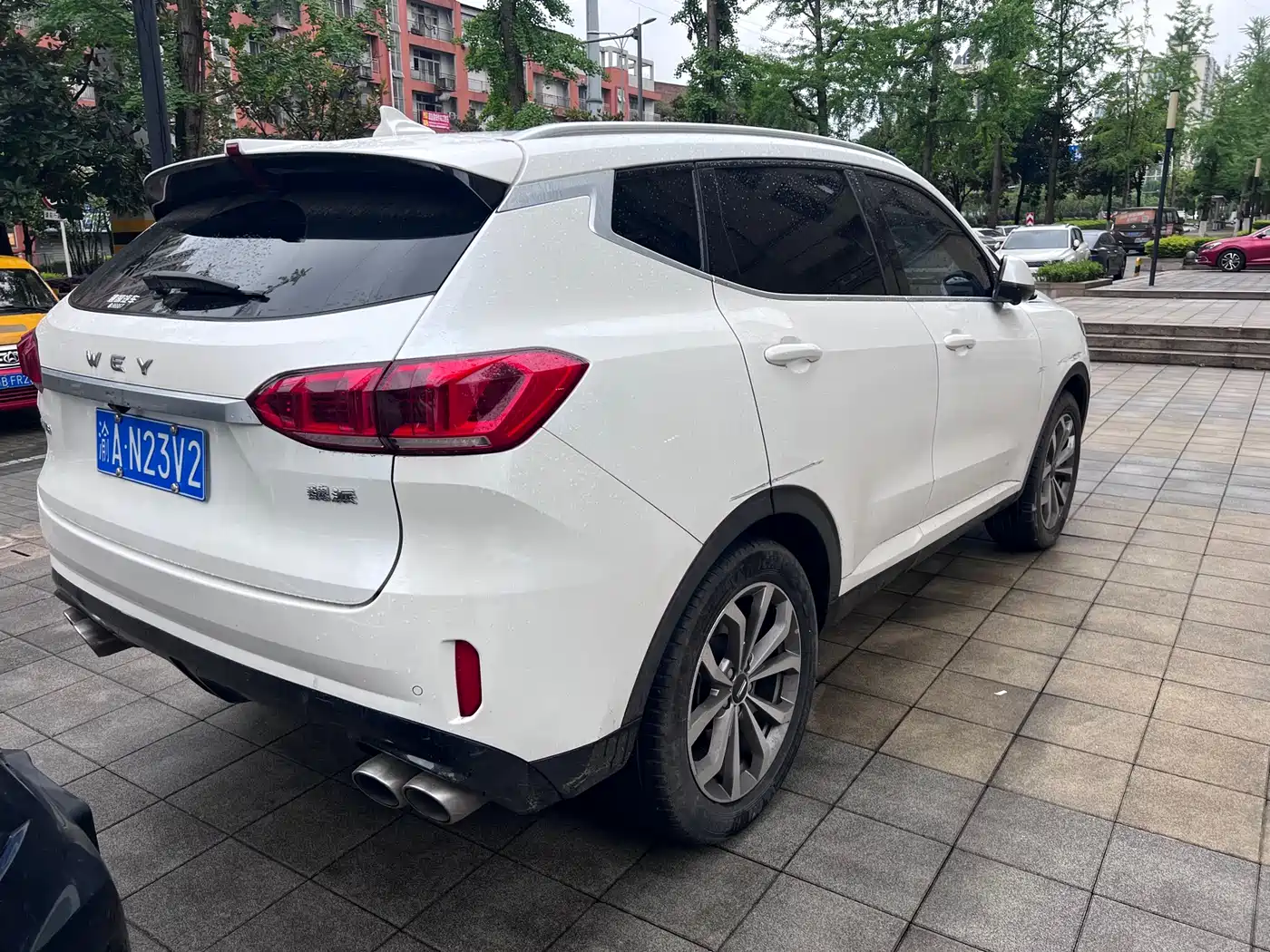 WEI PAI WEI BRAND VV6